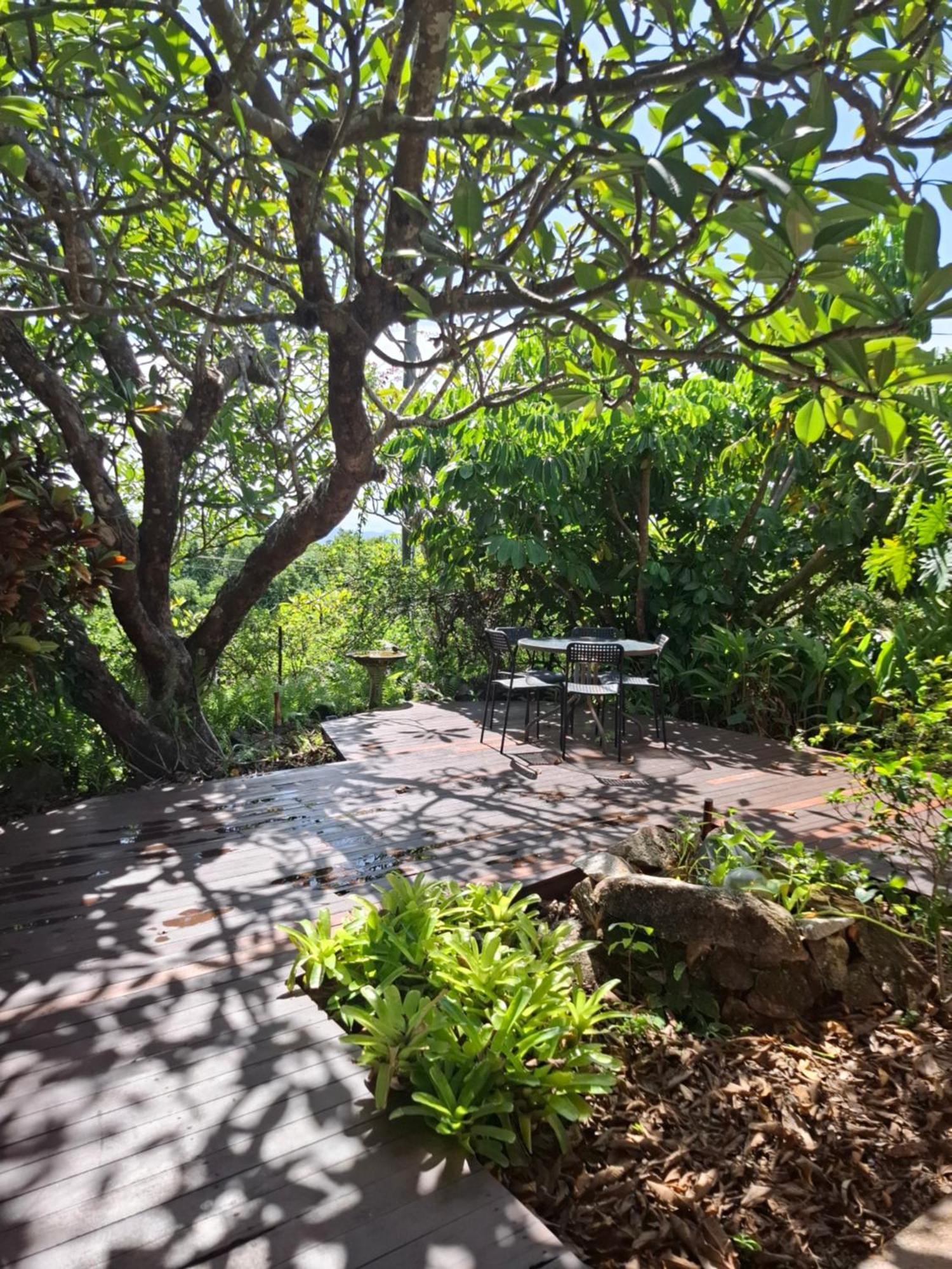 J & Ella'S Holiday House - 1 Bedroom, 1 Bathroom Home Cooktown Eksteriør billede